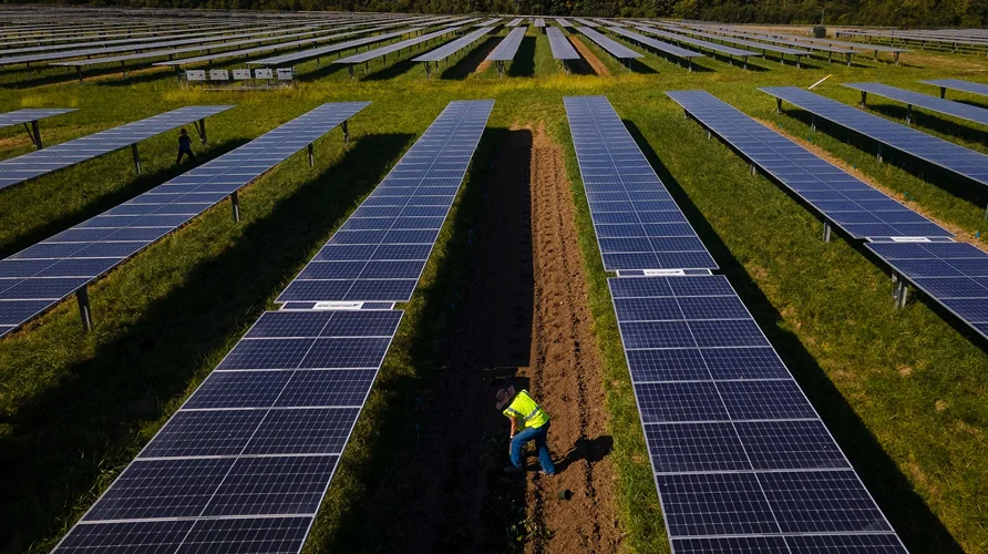 Solar farming wide drone shot